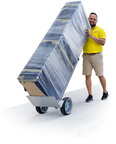 The Most Trusted Movers in Tampa