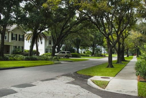 Tampa's Best Neighborhoods To Live In | Good Greek Moving & Storage