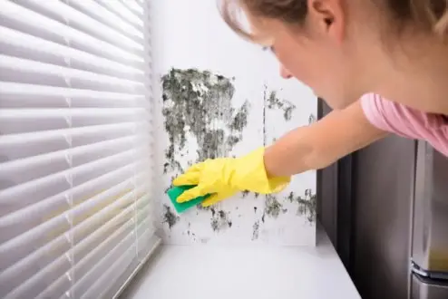 cleaning mold