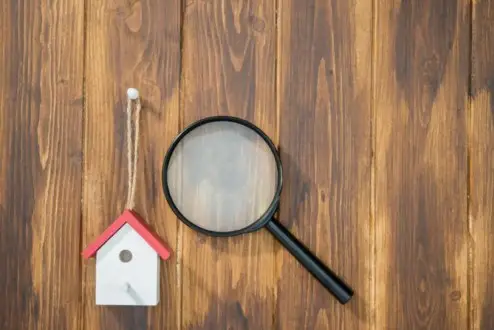 Magnifying-Glass