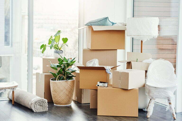 Still life shot of an empty room in a house on moving day