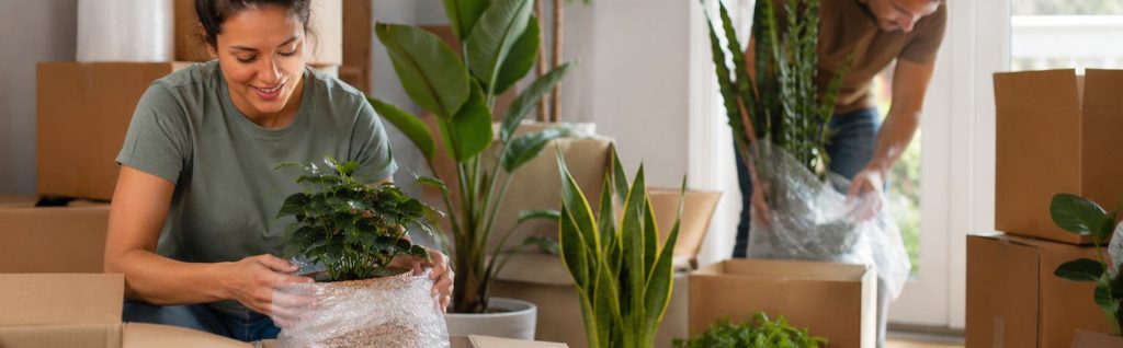 Good Greek How To Move Plants To Your New Home